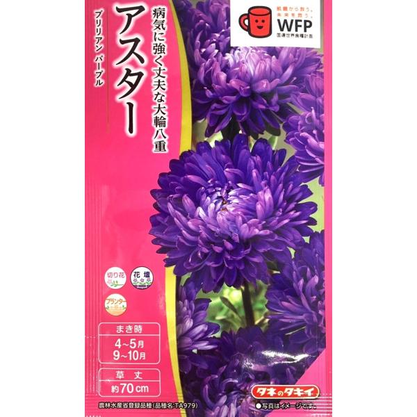 萎凋病による立枯れに強い品種です。花色はレッドで、8〜10cmの大輪の花が咲きます。フラワーアレンジメントの花材から仏花まで、色々な使い方ができます。