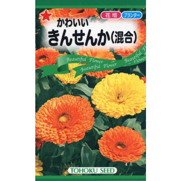 カレンデュラ、ポットマリーゴールドとも呼ばれるキク科の一年草です。寒さに比較的強いので作りやすい品種です。草丈30〜40cmの矮性種なので寄せ植えなどにも利用できます。品種名：ゼム系混合