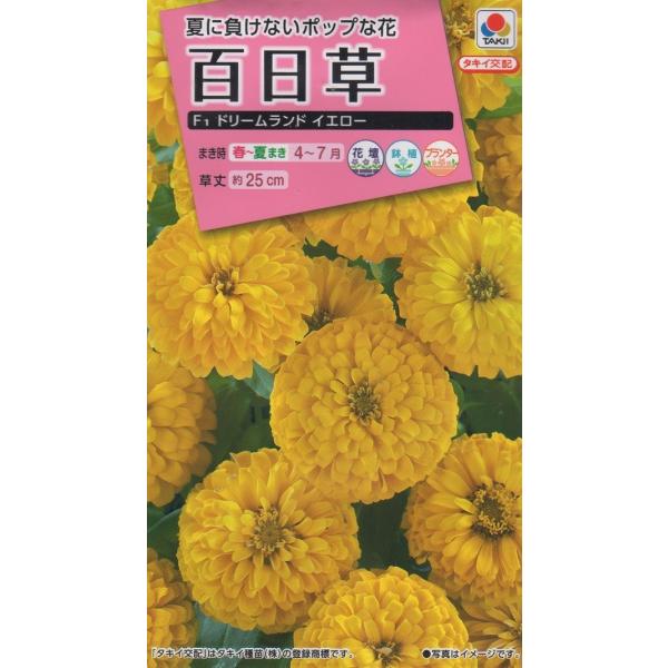 ジニア 苗 種の人気商品 通販 価格比較 価格 Com