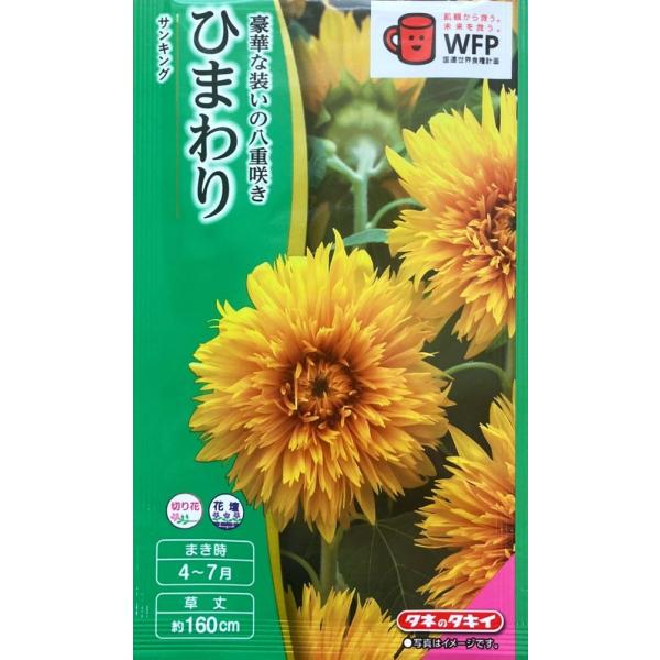 ひまわりページ HIMAWARI Object | ヒマワリオブジェ by Takao Inoue | Generate Design