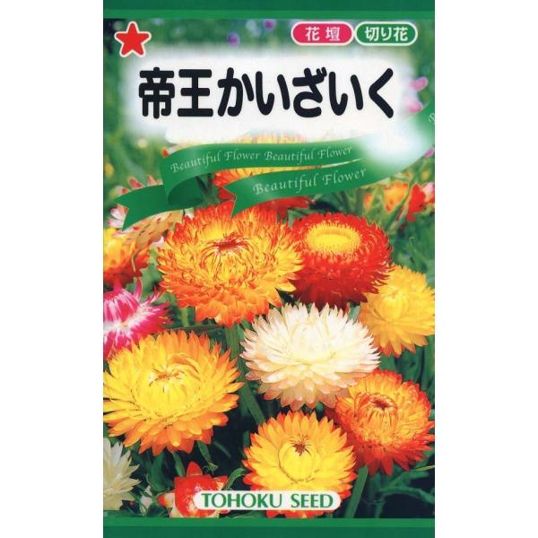 ヘリクリサムとも呼ばれる、キク科の半耐寒性一年草です。カサカサとした花は長期間色あせもしないことから、英名ではEverlasting Flower（永遠の花）とも呼ばれています。カラフルな花色のミックス品種です。花壇に群生させても見事ですよ...