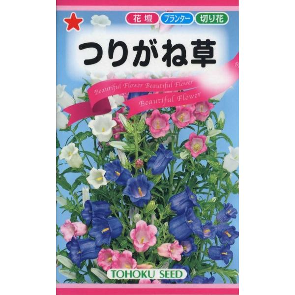 yqz肪ˑ iJpj W[j g[zÑ^l