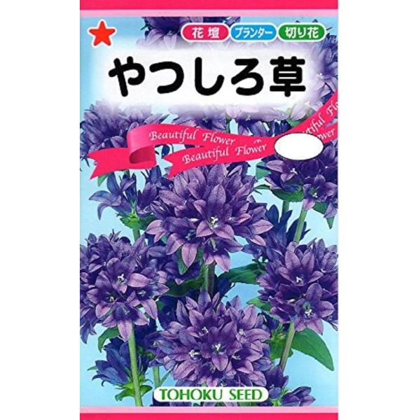 種 リンドウの人気商品 通販 価格比較 価格 Com