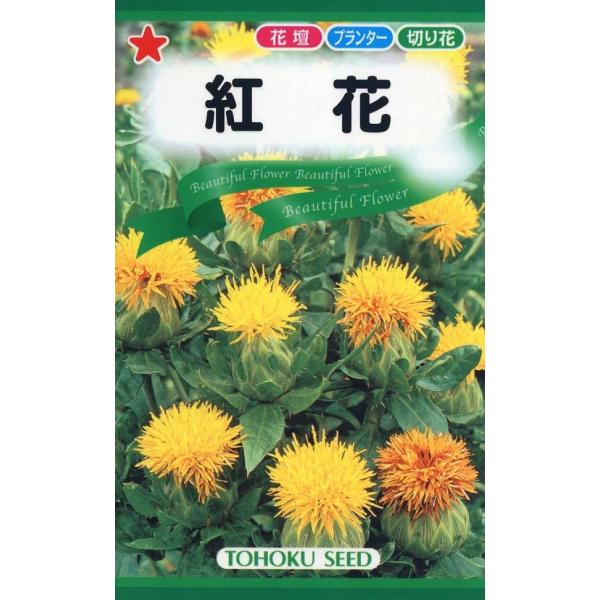 染料や口紅の原料に用いられた植物です。栽培は簡単で初心者でも咲かせることができ、切り花でもドライフラワーでも楽しめる草花です。