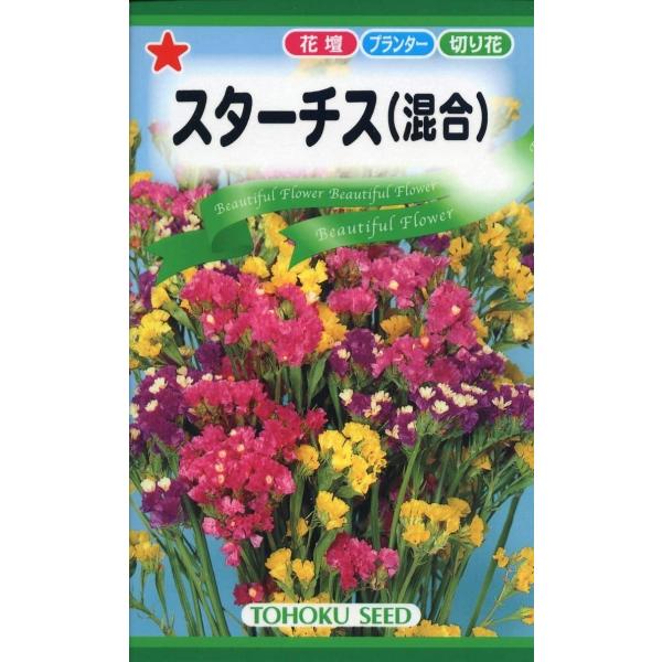 yqzX^[`Xij[j g[zÑ^l