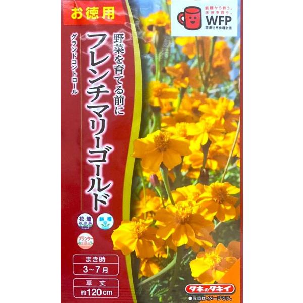 センチュウ駆除効果で知られるマリーゴールドの中でも、特に効果が高い品種です。センチュウ駆除をすることで、後作の作物の生育が非常によくなります。緑肥としてすき込むことで、土壌改良にも効果があります。