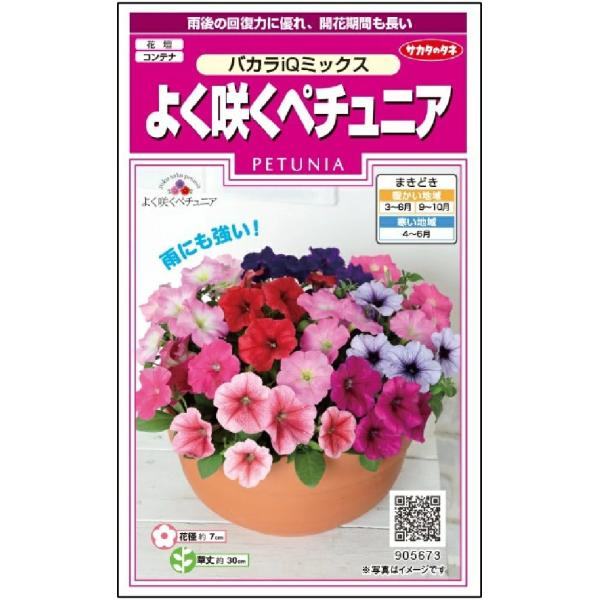 花径約7cmの中輪で、株いっぱいに花が長い間咲きます。厚い花弁は雨による傷みが少なく、鮮やかな色彩の混合種です。