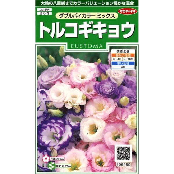 yqzgRMLEi[Xg}j _uoCJ[ ~bNX TJ^̃^l