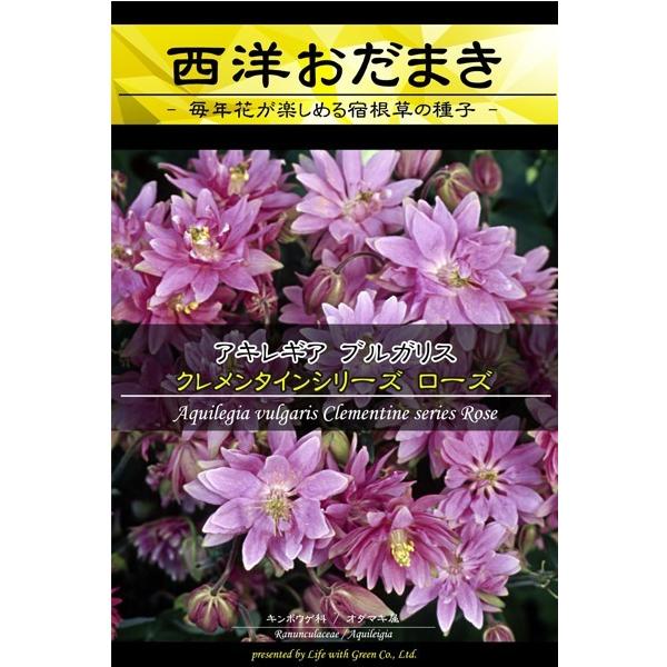 種子 Prime Perennial Collection アキレギア ブルガリス 西洋おだまき クレメンタインシリーズ ローズ Life With Green Hanatane 1045 Gardener S Shop Ivy 通販 Yahoo ショッピング