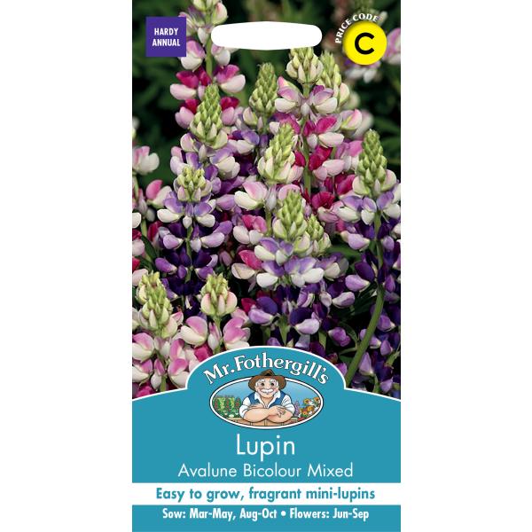 輸入種子 Mr Fothergill S Seeds Lupin Avalune Bicolour Mixed ルーピン ルピナス アヴァルヌ バイカラー ミックス ミスター フォザーギルズシード Hanatane 1111 Gardener S Shop Ivy 通販 Yahoo ショッピング