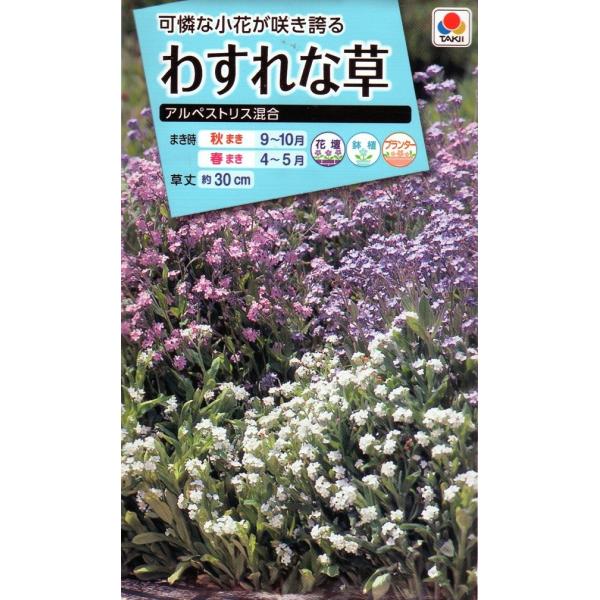 yqz킷ȑ AyXgX ^LCc̃^l