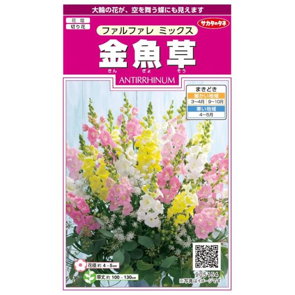 切り花で人気のあるペンステモン咲きの極早生品種です。花は大輪で花穂に密生したボリュームがあります。茎は長く伸び、かたく切花用に改良された品種で、花色はピンク、イエロー、ホワイトなどのミックスです。品種名：ファルファレ イエロー　　　　ファル...
