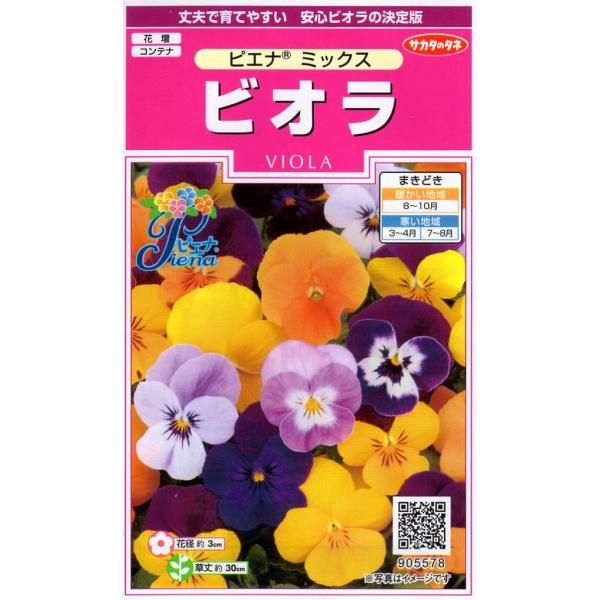 yqzrI sGi ~bNX TJ^̃^l