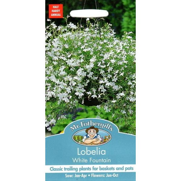 yqzMr.Fothergill's Seeds Lobelia White Fountain xA zCgEt@Ee ~X^[EtHU[MYV[h