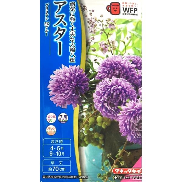 萎凋病による立枯れに強い品種です。花色はブルーで、8〜10cmの大輪の花が咲きます。フラワーアレンジメントの花材から仏花まで、色々な使い方ができます。