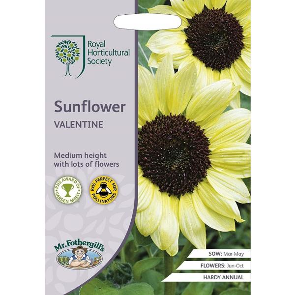 yqzMr.Fothergill's Seeds Royal Horticultural Society Sunflower Valentine RHS Tt[ o^C ~X^[EtHU[MYV[h
