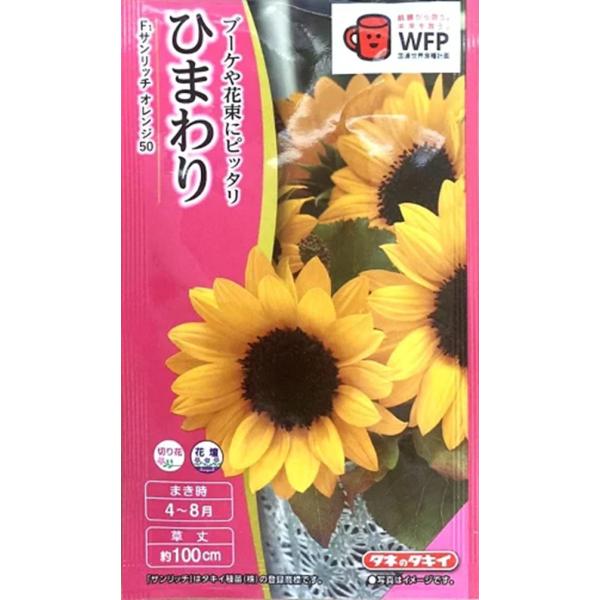 サンリッチ・オレンジよりも5〜7日程早く開花し、やや低めの草丈になります。側枝の出ない完全1本立ち品種です。適温さえ保てば春〜初秋までまけます。