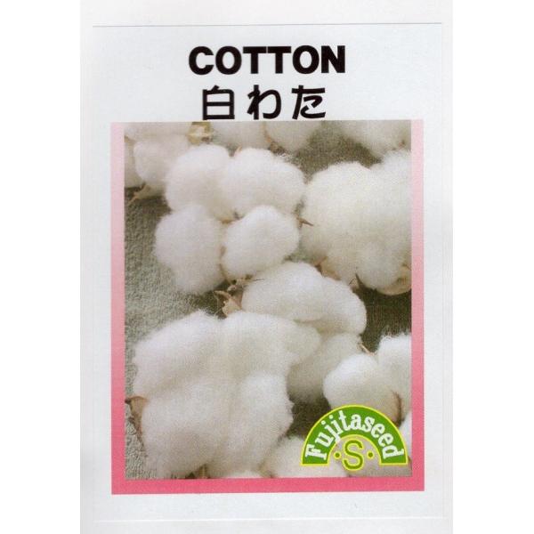 短繊維タイプで、クッションの中綿、手芸に利用できます。観賞用、切花としてもおすすめです。