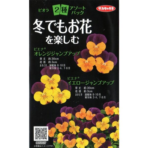 yqzrI sGi2A\[gpbN TJ^̃^l