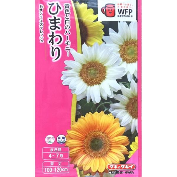 黒芯の3色ミックスです。オレンジ、レモン、ホワイトの調和が美しく映えます。切り花にも使えます。