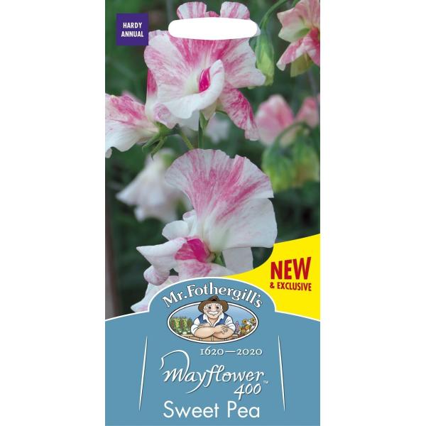 種子 Mr.Fothergill's Seeds Sweet Pea Mayflower 400 スイートピー・メイフラワー 400 ミスター・フォザーギルズシード