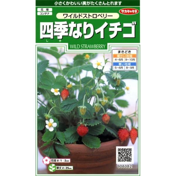 yqzChXgx[ lGȂC`S TJ^̃^l