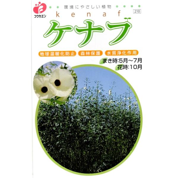 地球温暖化防止半年で草丈2〜4mにも育ち、更に成長も早いことから、盛んに行われる光合成によって、地球温暖化の原因のひとつにあげられる二酸化炭素(CO2)の吸収を助けます。森林保護一年草で毎年収穫が出来ます。外皮を製紙などの非木材資源として最...