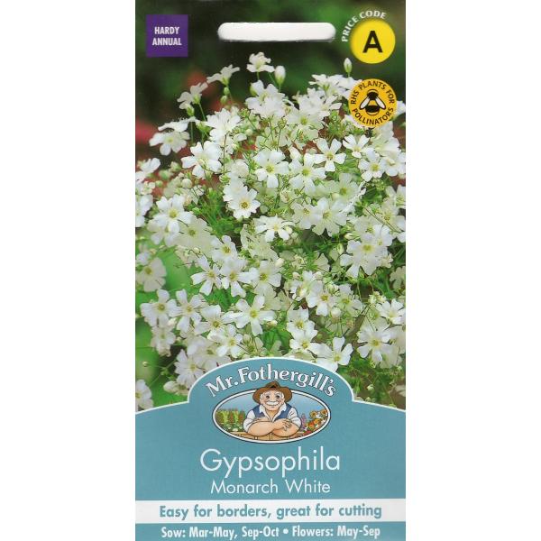 期限切れ（2026年12月）間近セール！丈夫な一年草で、花を咲かせたい場所に直播きするとができます。ふわっとした白い花を咲かせます。花壇の縁取りやブーケに軽快な印象を与えてくれます。