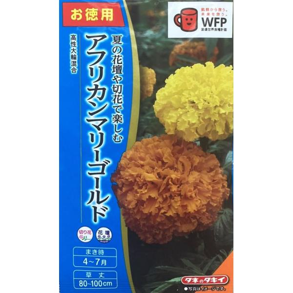 花種子 アフリカンマリーゴールド 高性大輪混合 お徳用パック タキイ