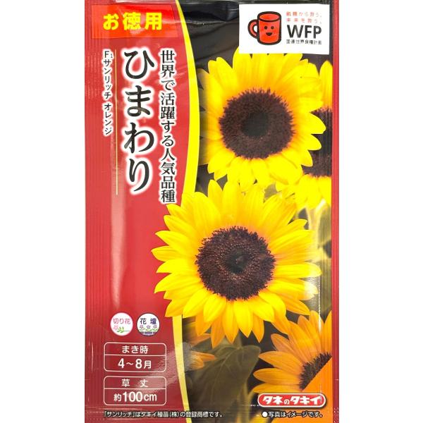 種子】切花向ひまわり F1サンリッチ オレンジ お徳用パック 種子】切花向ひまわり F1サンリッチ オレンジ お徳用パック