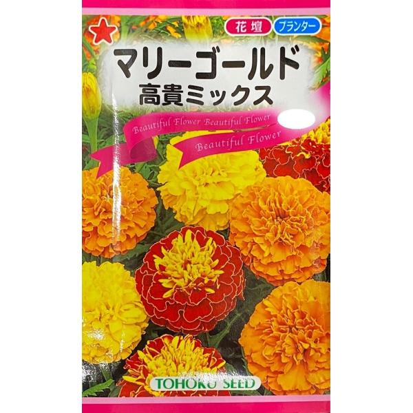 花はやや小さめですがボリューム感のあるポンポン咲き。エレガントな色合いで存在感がありたくさんの花を咲かせて楽しませてくれます。品種名：ボーイミックス