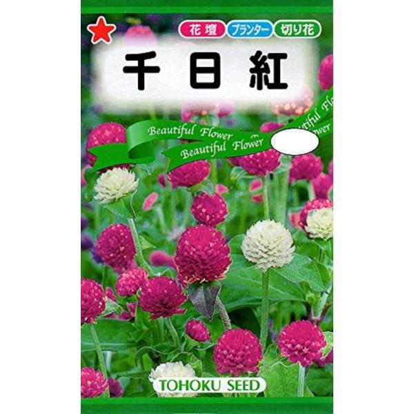 暑さや乾燥に強く、真夏でも丈夫に育つ植物です。切り花としてもよく利用され、カラフルな花色ミックスでドライフラワーにも適します。品種名：チョイスミックス