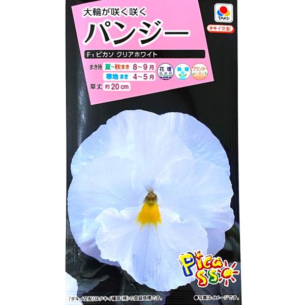 期限切れ（2026年4月）間近のため売り尽くしセール！花径約8cmの大輪パンジー。花首が伸びにくく、全体的にバランス良く育ちます。明るい白色の花色が大変美しい品種。ピカソの名に相応しいカラフルなパンジーです。