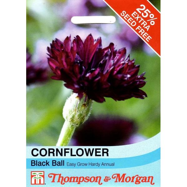 輸入種子 Thompson Morgan Cornflower Black Ball コーンフラワー セントーレア ブラック ボール トンプソン モーガン Hanatane 152 Gardener S Shop Ivy 通販 Yahoo ショッピング