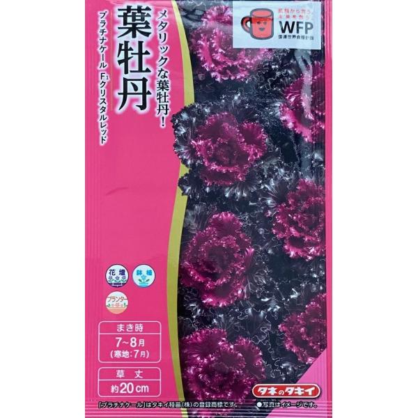 花種子 葉牡丹 プラチナケール F1 クリスタルレッド タキイ種苗のタネ