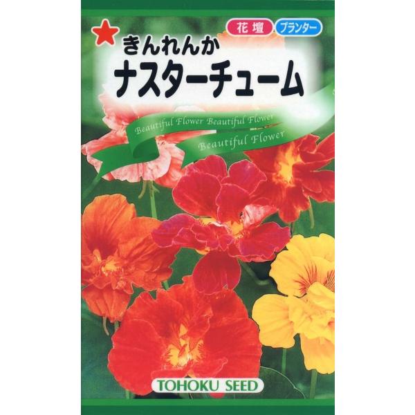 和名「きんれんか」ともいい、ハンギングに最適な花です。鮮やかな花色の明るい印象。エディブルフラワー(食用)としても人気があります。品種名：ジュエルミックス
