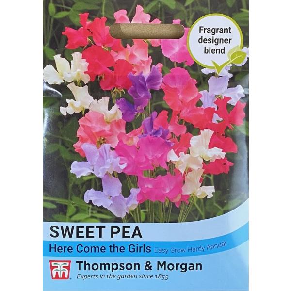 ピンク、モーブ、ホワイトの絶妙な色合いで彩られたフリルのような花びらが特徴のスイートピー『Here Come the Girls』は、美しい香りの品種を揃えた素晴らしい組み合わせです。ここで言及されている「ガールズ」とは、7つの人気品種『ヴ...