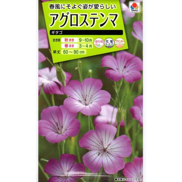 日当たりがよければ、ほかには条件を問わず、むしろ荒地のような土壌を好みます。こぼれダネでも増えるほど管理が楽です。公園の花壇などにもオススメ。群植させると見事な花畑になります。プランター植えの場合は支柱があったほうが良いです。