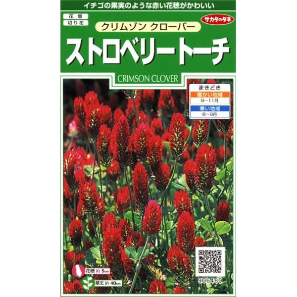 花種子 クリムゾンクローバー ストロベリートーチ サカタのタネ