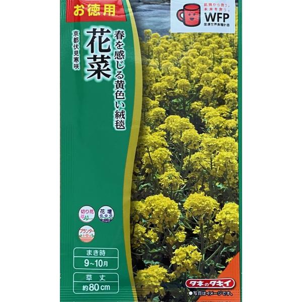 菜花 花種子 景観用 花菜 京都伏見寒咲 タキイ種苗のタネ : Gardener s Shop
