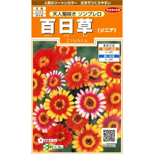 花径約７cmの中輪系で、２色の蛇の目模様が可愛い人気品種です。分枝が多く、沢山の花が付きます。真夏でも色あせずに咲き続ける丈夫な品種です。