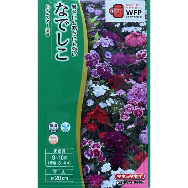種子 なでしこ F1テルスター混合 タキイ種苗のタネ Hanatane 331 Gardener S Shop Ivy 通販 Yahoo ショッピング