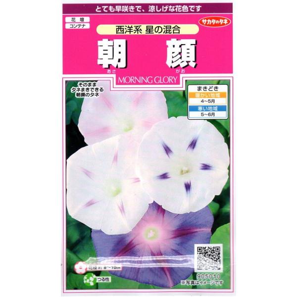 1つの花茎に3〜5花をつける西洋系の丸葉朝顔です。色の薄い花はやや小ぶりで、濃い色の花は比較的大きくなります。とても早咲きで、7月上旬から中旬に咲き始めます。生育がよく主に垣根や日よけに適します。