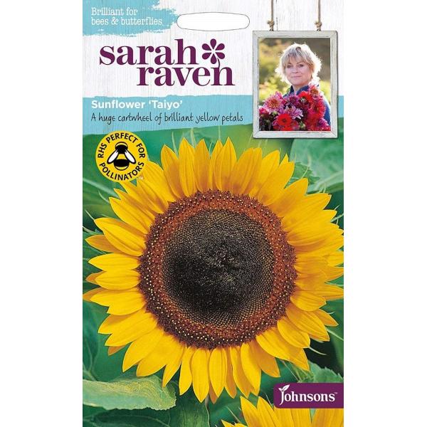 yqzJohnsons Sarah Raven Brilliant for Bees &amp; Butterflies Sunflower Taiyo Tt[E^C[ W\YV[h