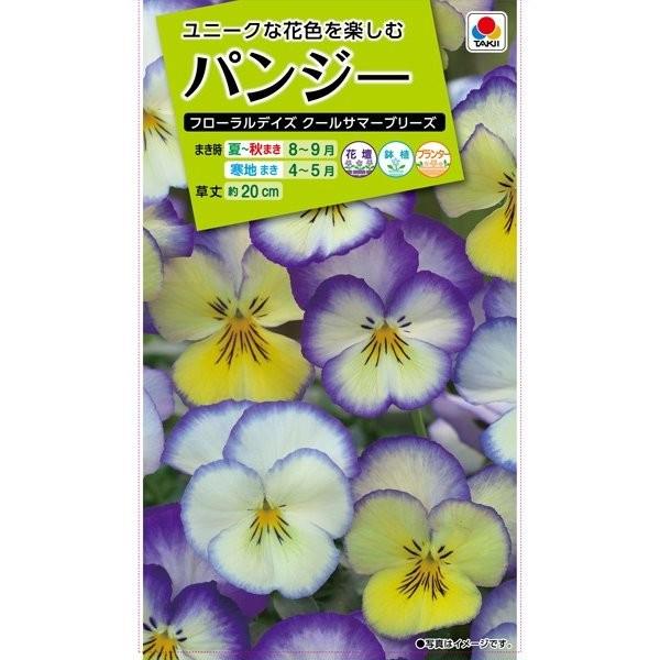 花種子 パンジー フローラルデイズ クールサマーブリーズ タキイ種苗のタネ