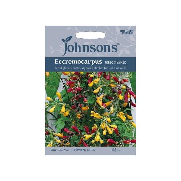 yqzJohnsons Seeds Eccremocarpus Tresco Mixed GNJ[pXEgXRE~bNX W\YV[h