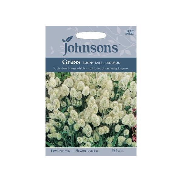 種子】Johnsons Seeds GRASS Bunny Tails Lagurus グラス バニー・テイルズ・ラグラス ジョンソンズシード  :hanatane-652:Gardener s Shop Ivy 通販 