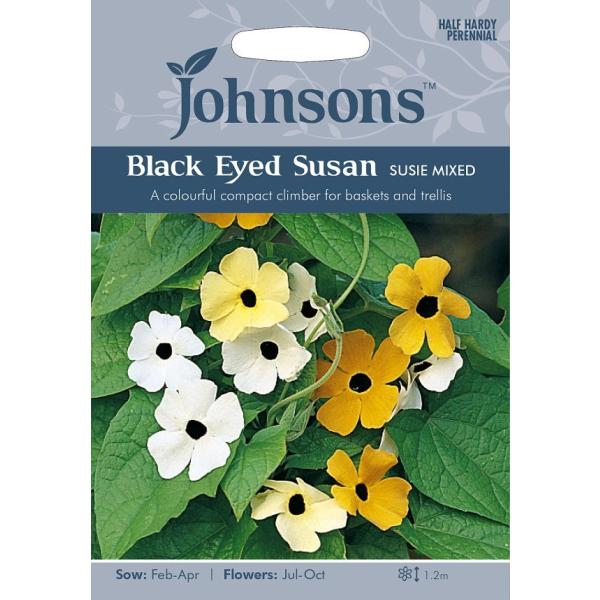 【種子】Johnsons Seeds BLACK EYED SUSAN Susie Mixed ブラック・アイ・スーザン（ツンベルギア） スージー・ミックス  ジョンソンズシード :hanatane-701:Gardener s Shop Ivy 通販 
