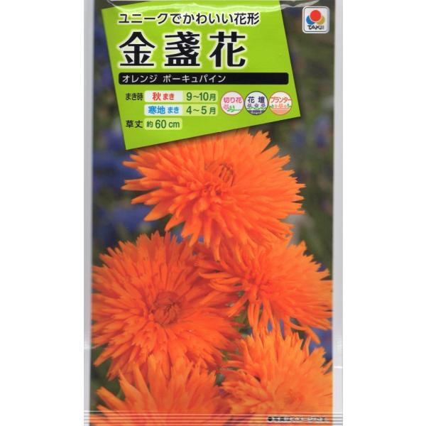 花 パイン 種の人気商品 通販 価格比較 価格 Com