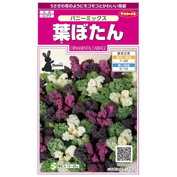 花種子 葉ぼたん バニーミックス サカタのタネ